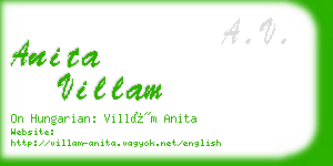 anita villam business card